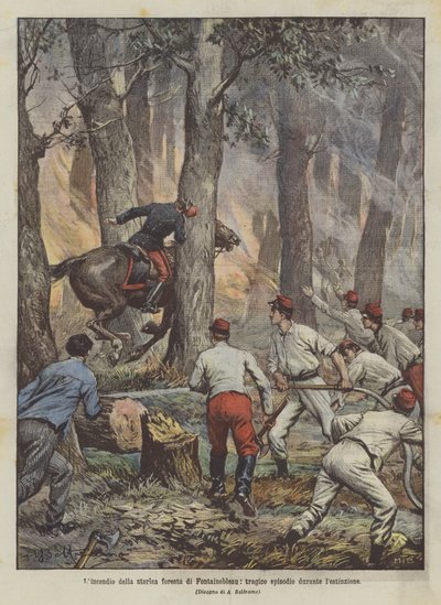 El incendio del histórico bosque de Fontainebleau, trágico episodio durante la extinción de Achille Beltrame